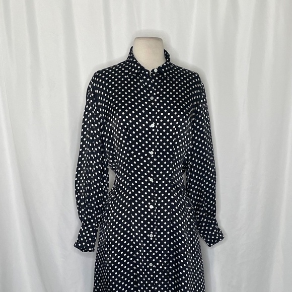 EVERLANE The Hammered Satin Shirt Dress Black Polka Dot Shirtdress Preppy Size 0 - Picture 4 of 15